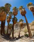 Mecca Badlands, California Art Print